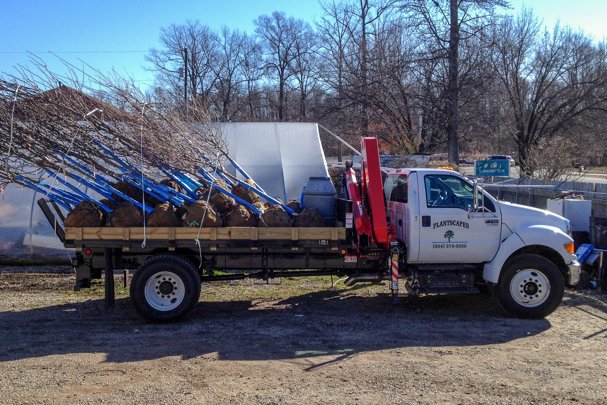 Picking up a load of trees to be planted Picking up a load of trees to be planted